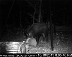 BedandBreakfast-NewFeeder_10102013_5813369.jpg